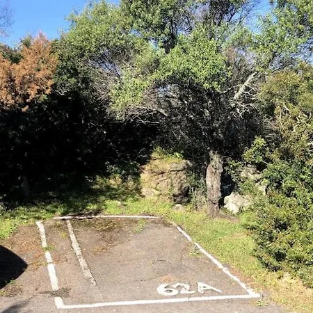 Il Nido Di Luca A *