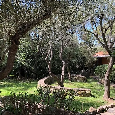 Il Nido Di Luca A Porto Rotondo
